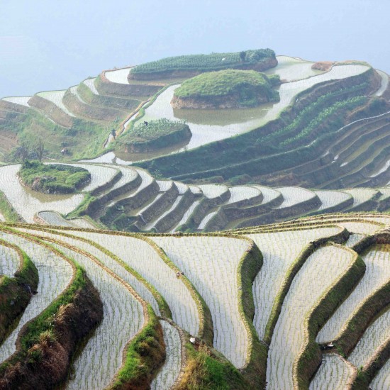 What It’s like working in China